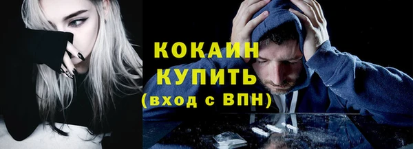 дживик Каменка