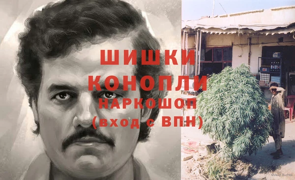 бошки Каменногорск