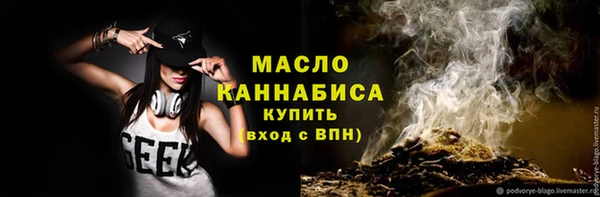 дживик Каменка
