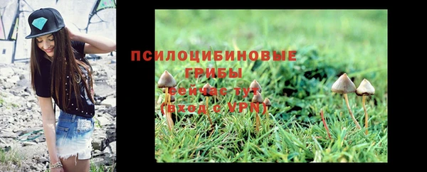 spice Иннополис