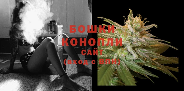PSILOCYBIN Каменск-Шахтинский