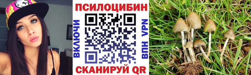 Галлюциногенные грибы Psilocybine cubensis  Камешково 